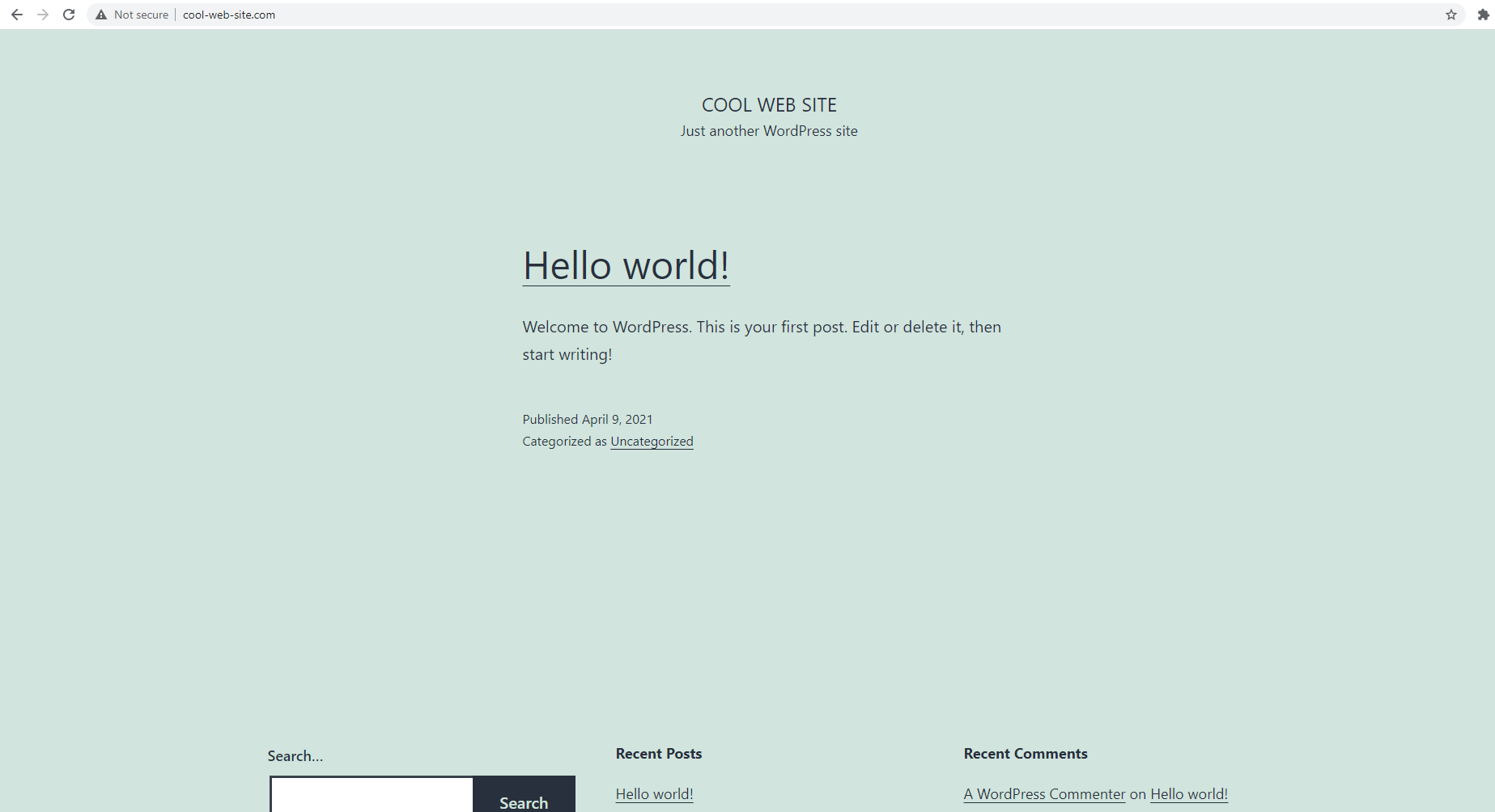 Opening-Local-Site-In-Browser